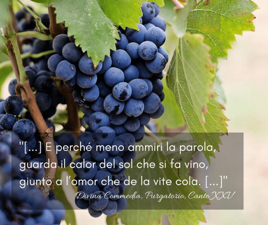 Winequote Buracchi 2