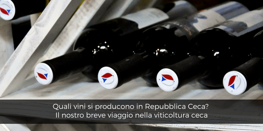 Quali vini si producono in Repubblica Ceca: breve viaggio nella viticoltura ceca