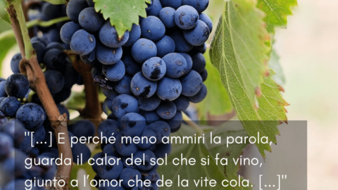 Winequote Buracchi 2