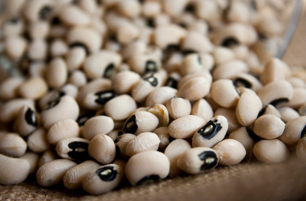 I Fagioli dall'occhio, una delle più antiche varietà di fagioli coltivate in Toscana!