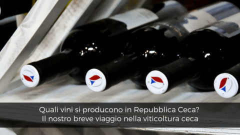 Quali vini si producono in Repubblica Ceca: breve viaggio nella viticoltura ceca
