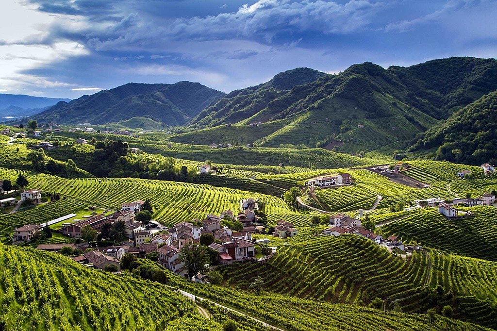 Colline del Prosecco - Photo: Alberto Davide Lorenzi [CC BY-SA 4.0], via Wikimedia Commons