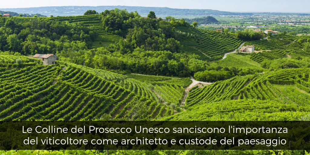 Le Colline del Prosecco patrimonio Unesco sanciscono l'importanza del viticoltore come architetto e custode del paesaggio