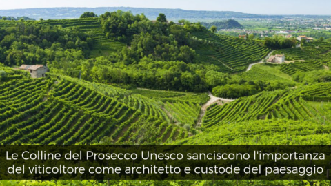 Le Colline del Prosecco patrimonio Unesco sanciscono l'importanza del viticoltore come architetto e custode del paesaggio